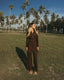 Tan through dress longsleeve hot chocolate